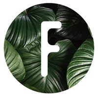 FernseedTacoma