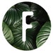 The Fernseed avatar