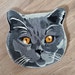 Buyer Avatar