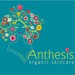 anthesis