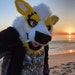 Buyer Avatar