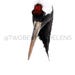 TwoBehindTheLens Wildlife Photography