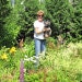 Suzanne Forget-Me-Not, LLC