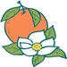 MagnoliaClementineUS