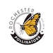 Rochester Pollinators