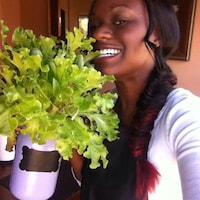 CocoandSeedHG