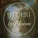 BlueprintandbloomUS