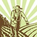 Homesteadtradeco