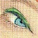 Rhonda avatar