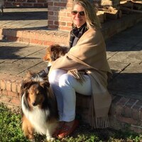 AnneProctorDesign