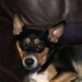 User photo