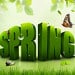 spring lin