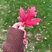 MapleAndMountainCo