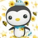 Buyer Avatar