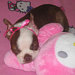 Buyer Avatar