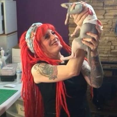 https://i.etsystatic.com/iusa/a45ec5/39816757/iusa_400x400.39816757_ao7d.jpg?version=0