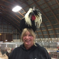 ChickenWearBySue