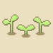 squaresprout