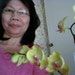Velly Piniones avatar
