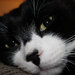 bahabracelets