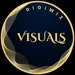 DigiWiz Visuals