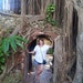 Kristy Rohm avatar