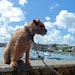 OutofCornwall