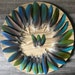 Feather Zone