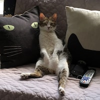 2KatsVintageEtcetera
