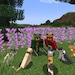 Buyer Avatar