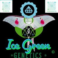 Icegreens