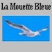 Lamouettebleue