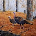 ArtisticWildernessCo