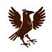 Cartographybird