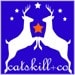 catskillandco avatar