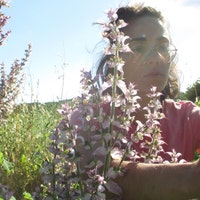 Lejardindesclots