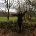 TheLovelyWildShop