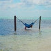 BaysideBlissDesigns