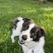 SmilesbyFinn