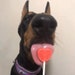 Buyer Avatar