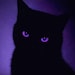 Buyer Avatar