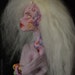 Kimiko Stallard