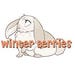 WinterBerriesBC