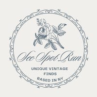 SeeSpotRunFindings