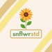 sunflower studio
