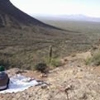 DistortedDesert