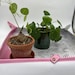 Green planet potting mat