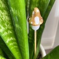 myjoyfulplant