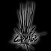 Carnage Wear