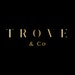 Cam, Ashley and TROVE team